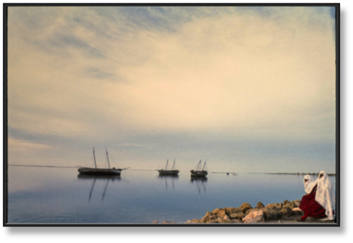 36- Djerba par ALAIN BELLAÏCHE.jpg